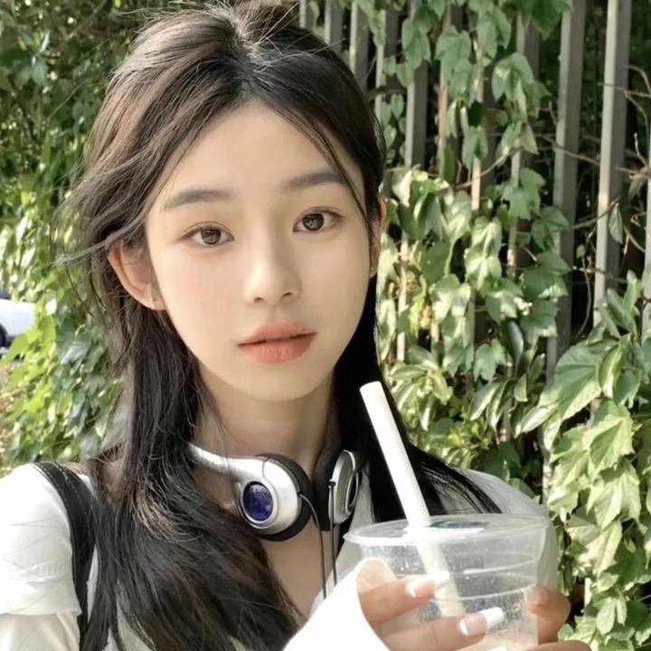 寻找爱丽丝吉